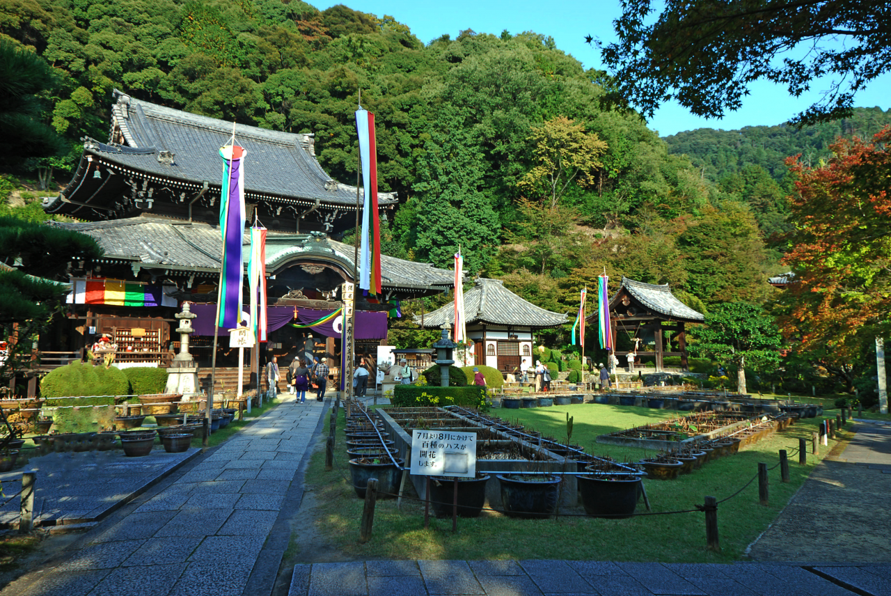 三室戸寺