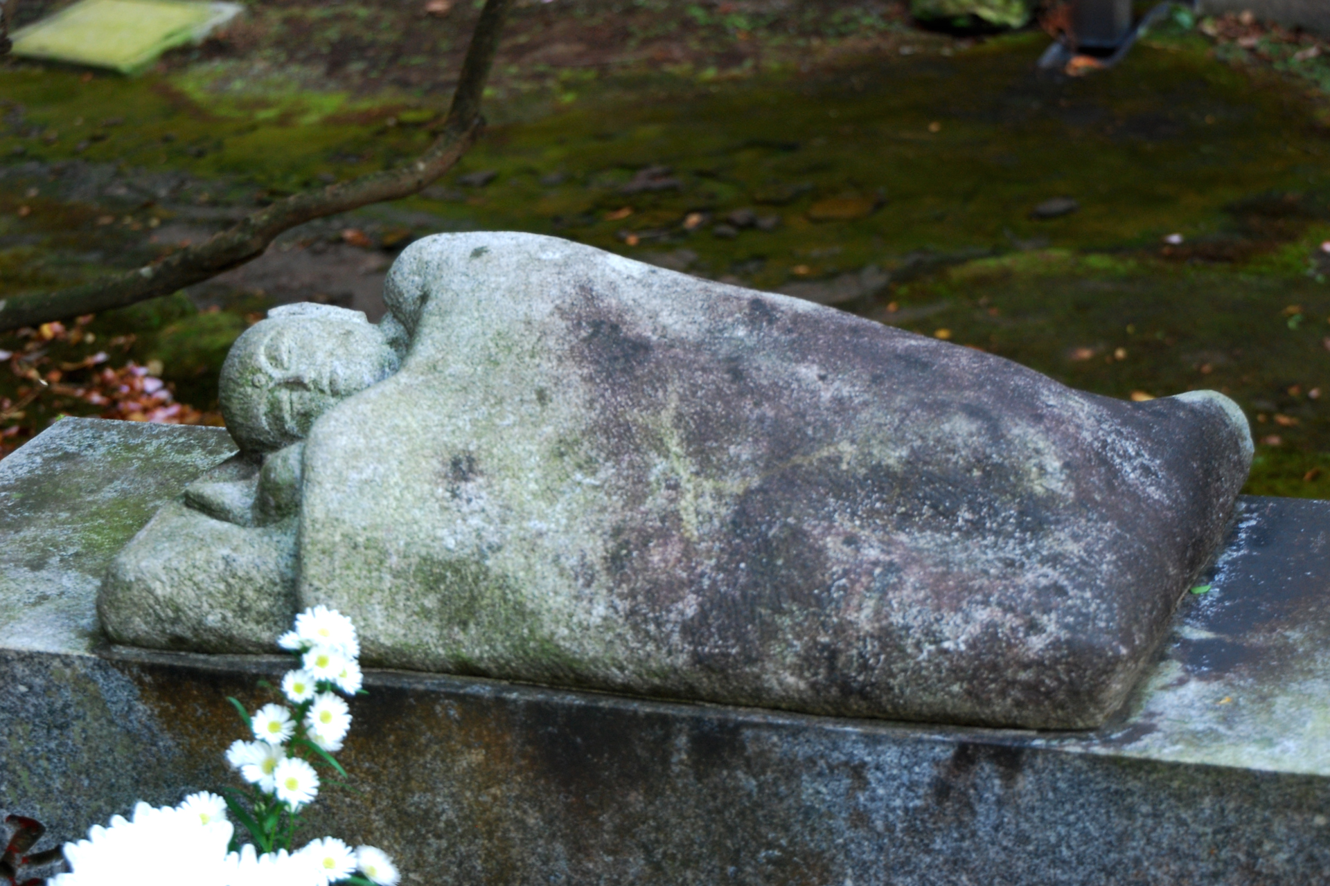 安養院 田代寺