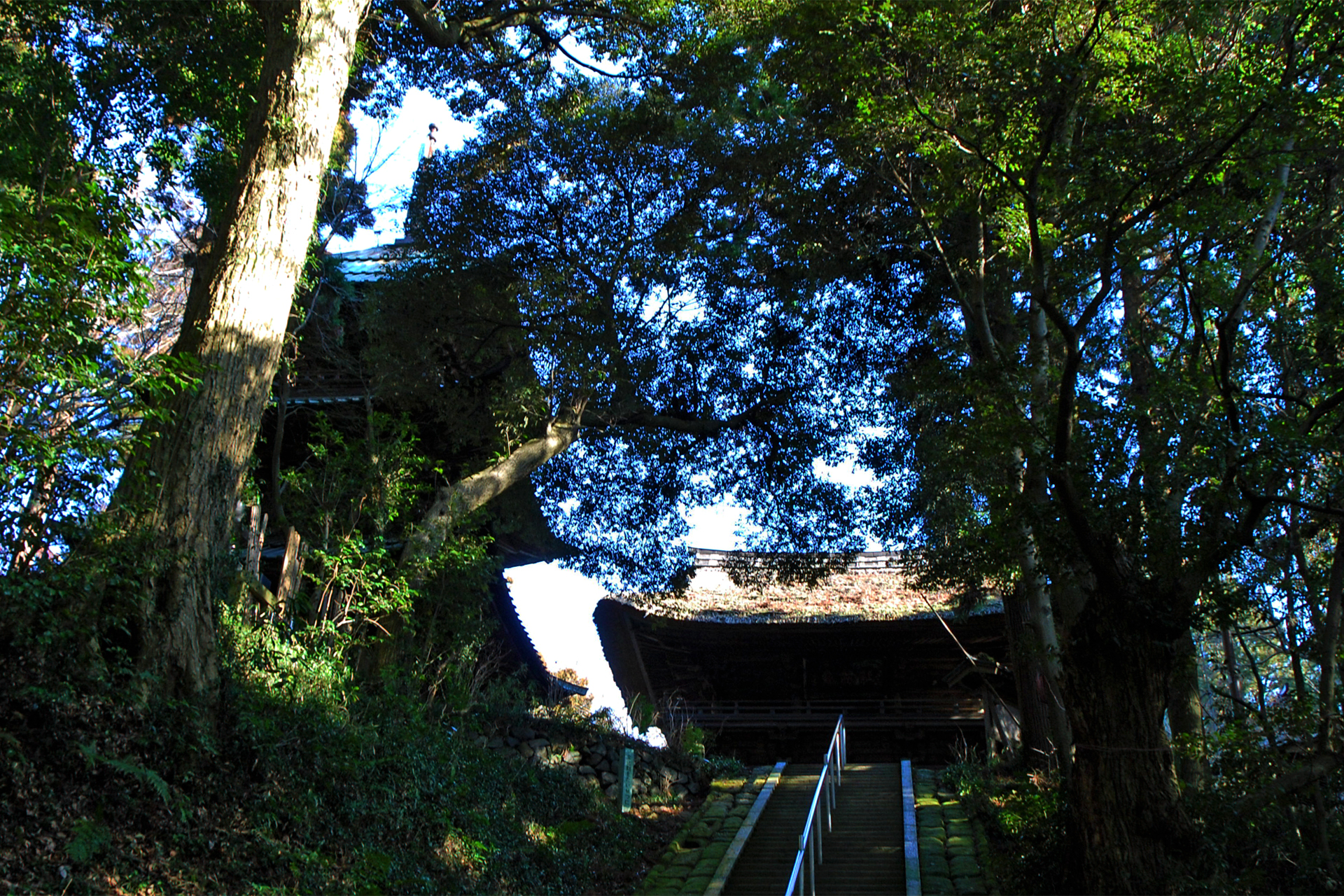 西明寺