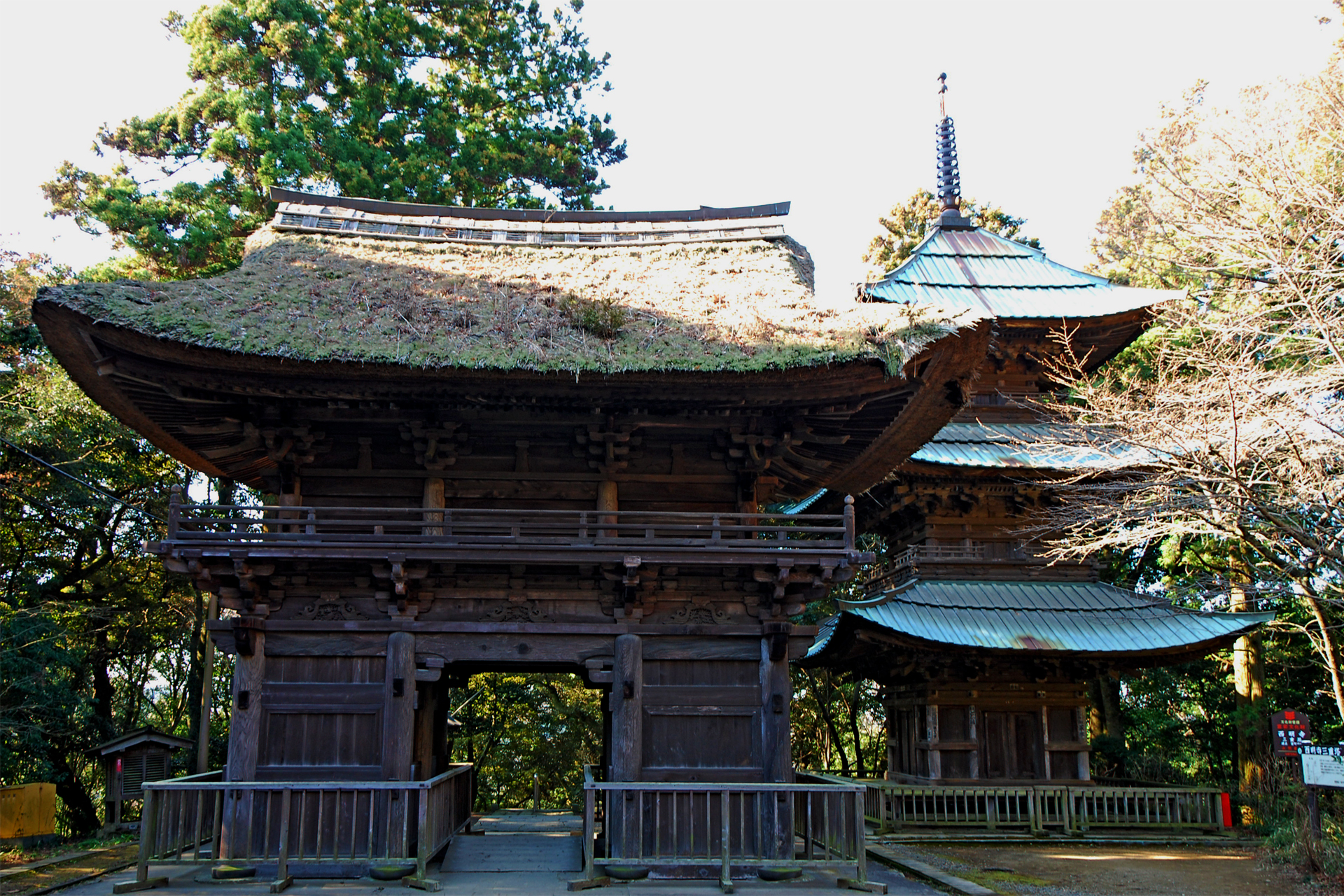 西明寺