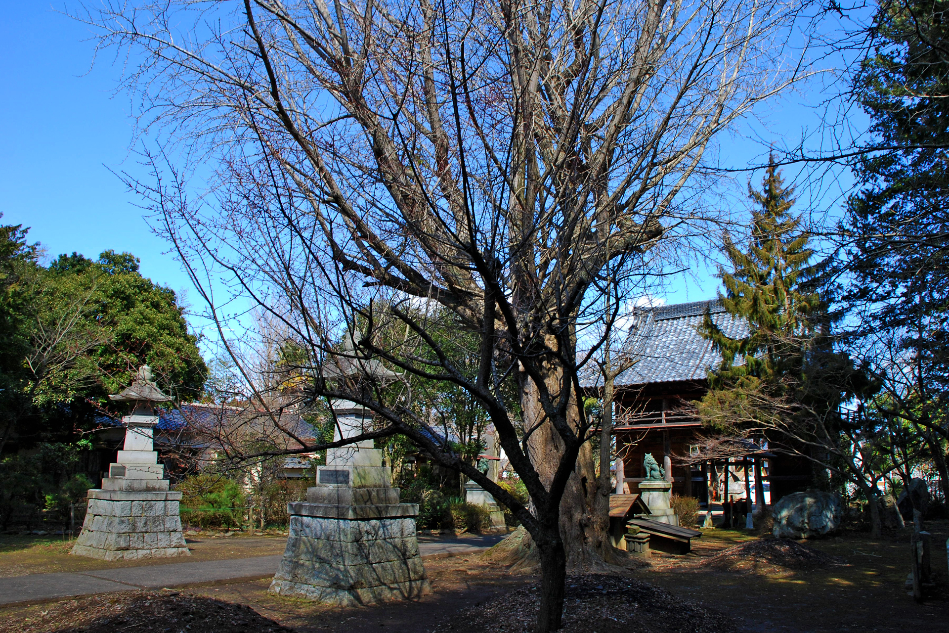 佐竹寺