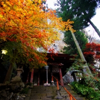 橋立堂