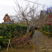菊水寺