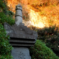 安養院 田代寺