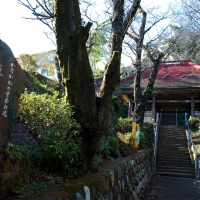 長谷寺