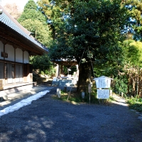 慈光寺
