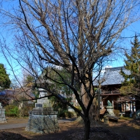 佐竹寺