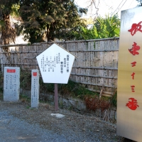 観世音寺