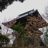 楽法寺