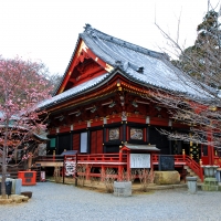 楽法寺