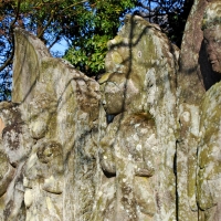 龍正院