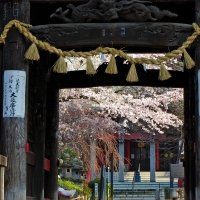 千葉寺