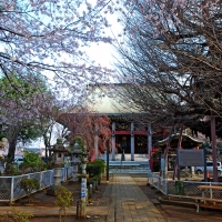 千葉寺