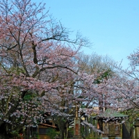 千葉寺