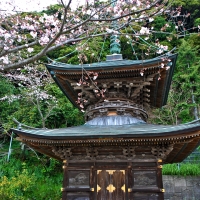 那古寺