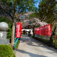 野坂寺